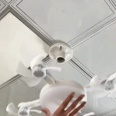 ⏳Time-Limited Special⏰Remote Control Ceiling Fan Light Bulb