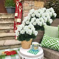 White(4 Bundles 20 Blooms Fill a flower pot)