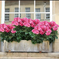 Pink(4 Bundles 20 Blooms Fill a flower pot)