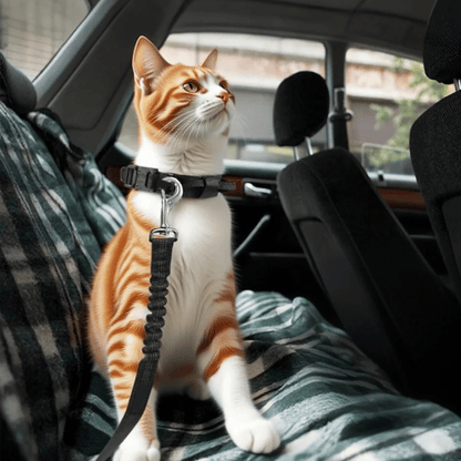Buy One Get One Free Pet Car Seat Belt, Adjustable Safety Leash