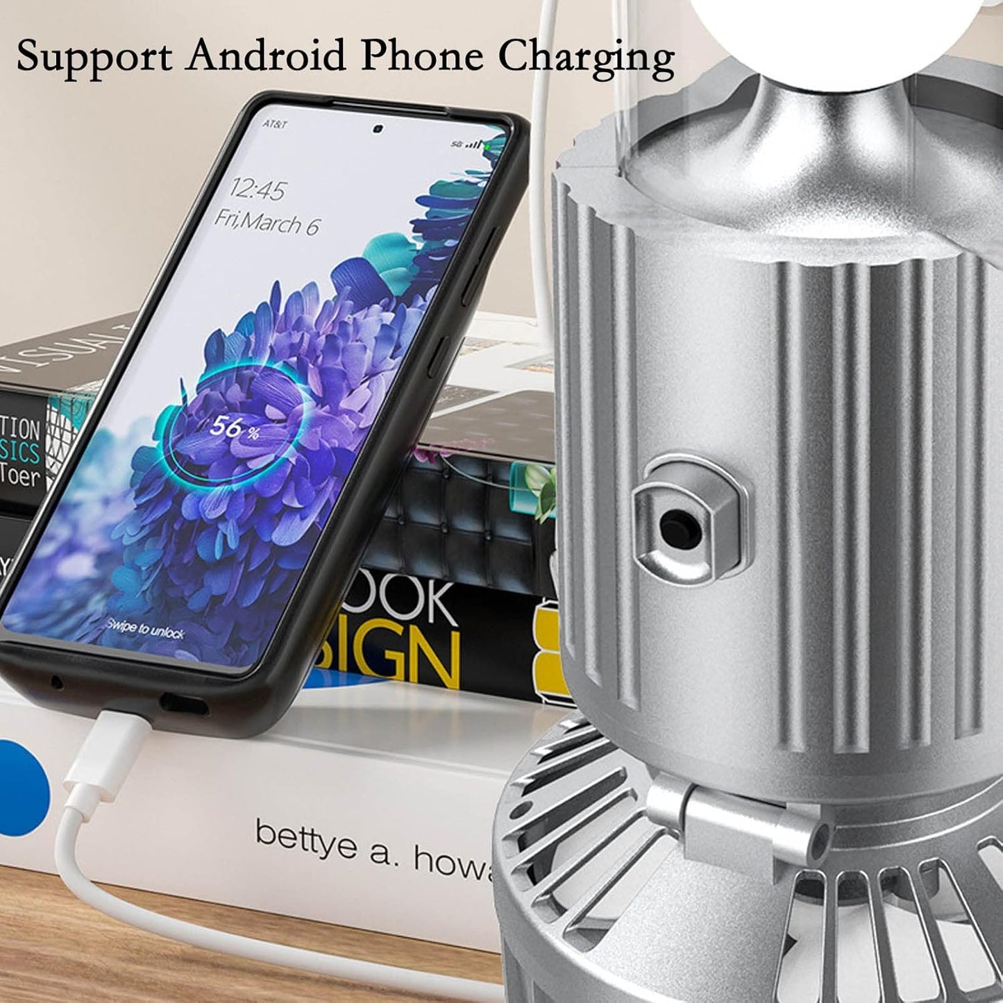 Outdoor portable multi-functional solar fan lamp