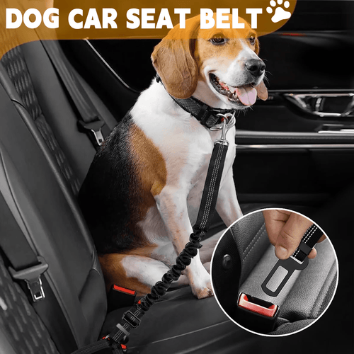 Buy One Get One Free Pet Car Seat Belt, Adjustable Safety Leash