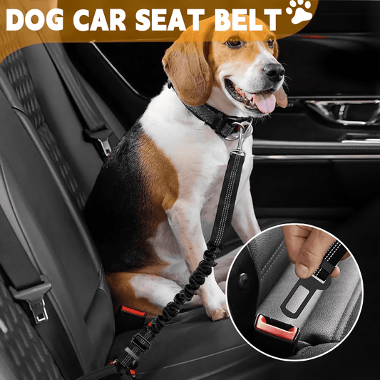 Buy One Get One Free Pet Car Seat Belt, Adjustable Safety Leash