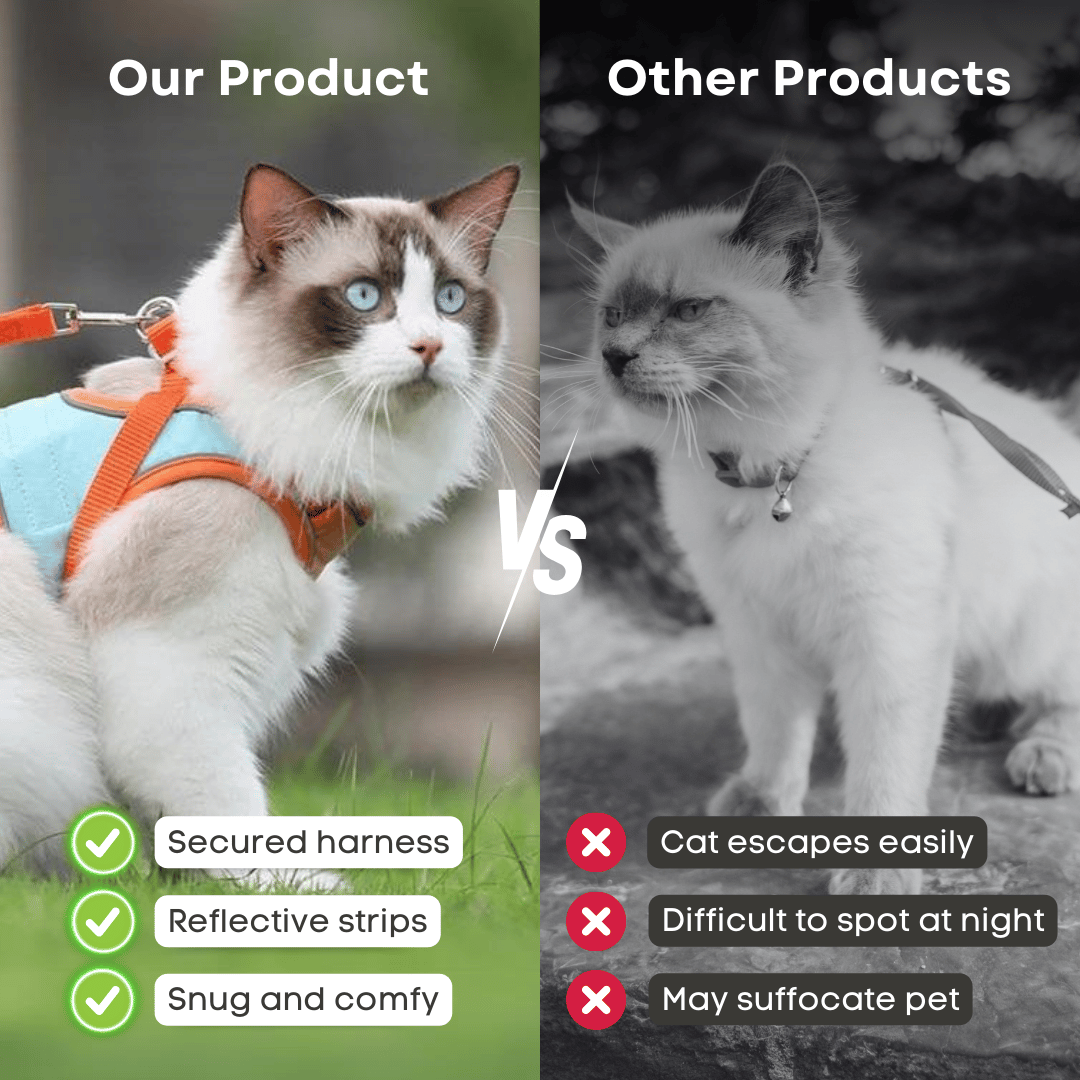 🔥Prevent the cat from breaking free from the leash😺✨