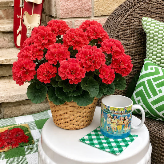 🎁 Last Day 60% OFF - Artificial Geranium Flowers For Outdoors