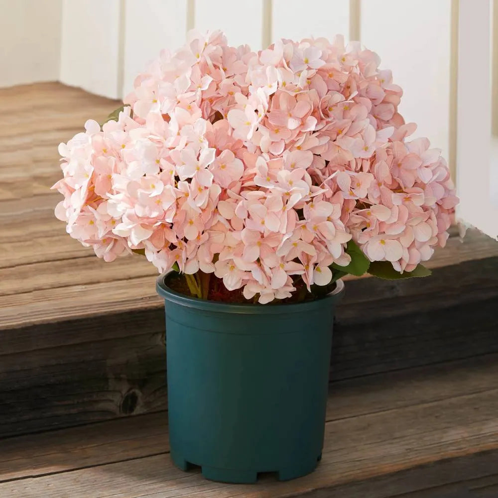 💥Last Day 70% OFF💐Artificial Outdoor Hydrangea Flowers - UV resistant, Waterproof, Windproof