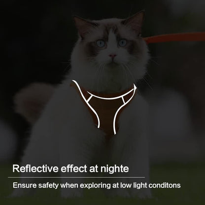🔥Prevent the cat from breaking free from the leash😺✨