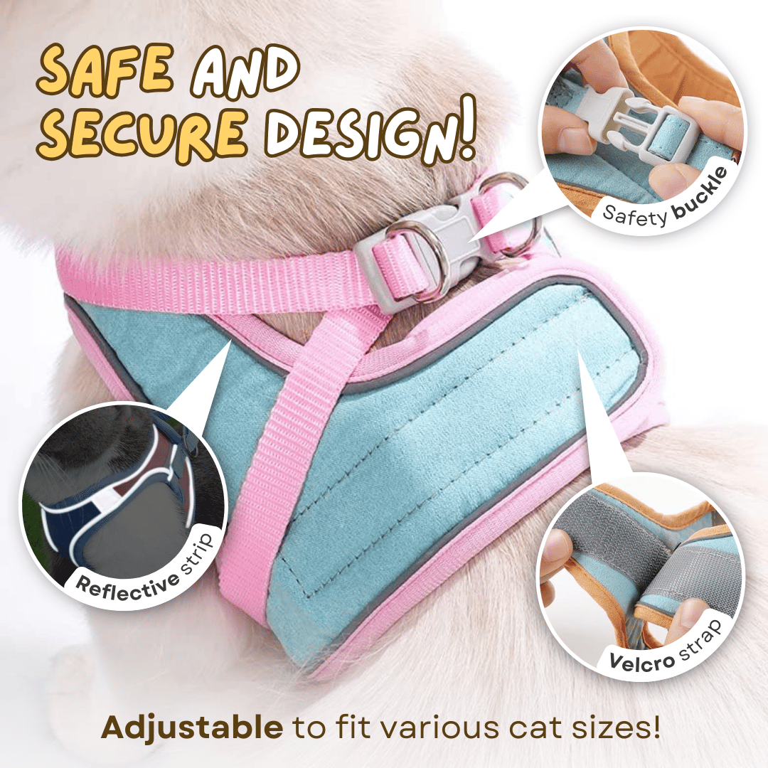 🔥Prevent the cat from breaking free from the leash😺✨