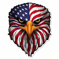 USA Flag