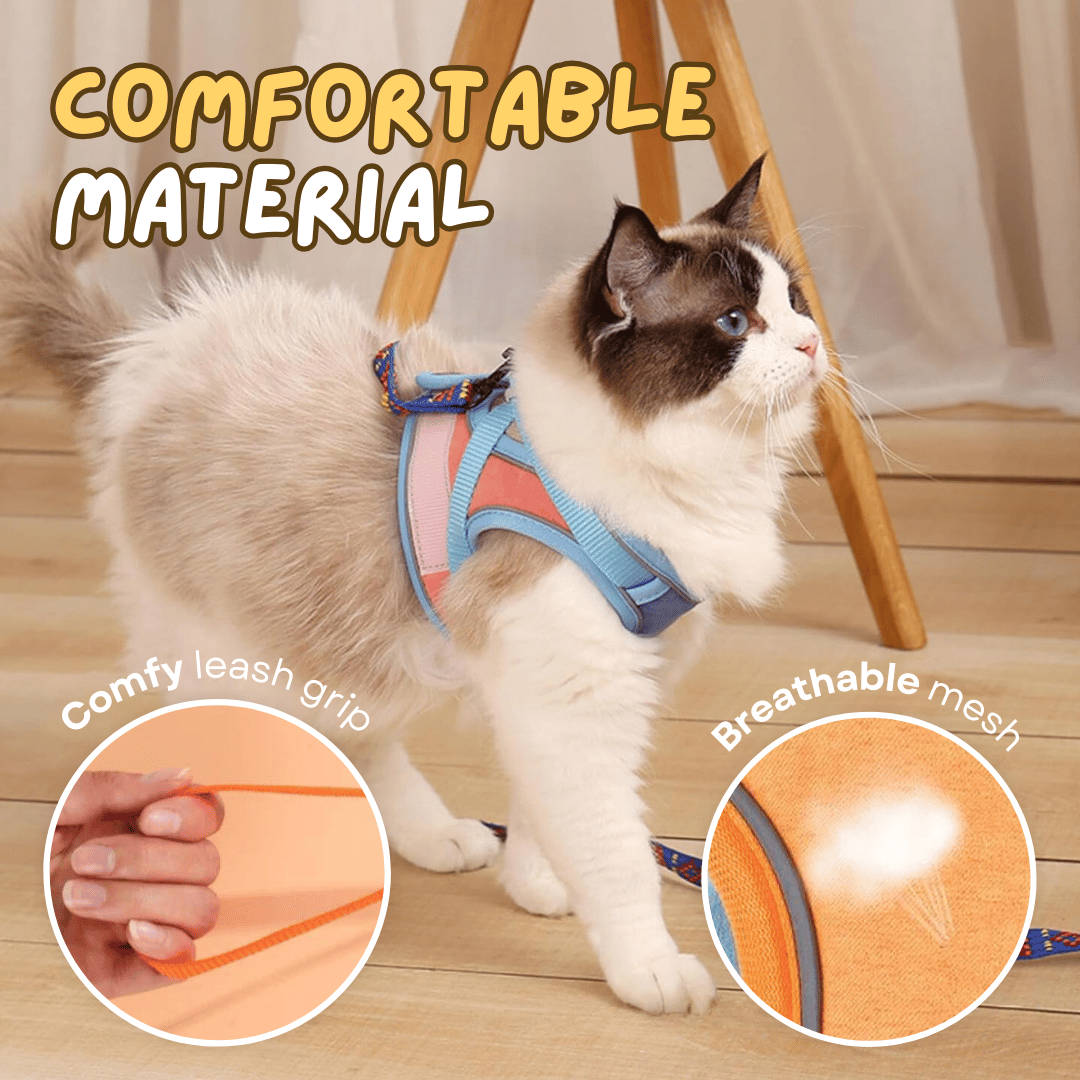 🔥Prevent the cat from breaking free from the leash😺✨