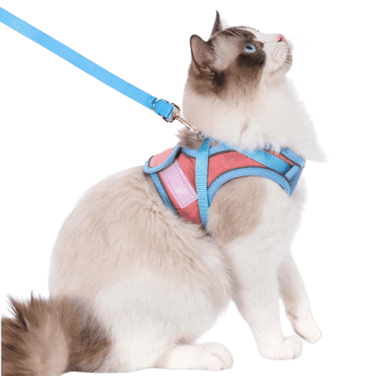 🔥Prevent the cat from breaking free from the leash😺✨