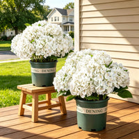 🔥1 Bouquet With 5 Blooms of White