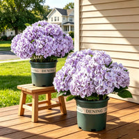 🔥1 Bouquet With 5 Blooms of Blue Purple
