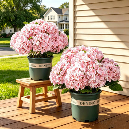 💥Last Day 70% OFF💐Artificial Outdoor Hydrangea Flowers - UV resistant, Waterproof, Windproof