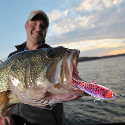 Multi-jointed robotic fishing lure with LED