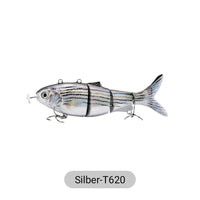 silver-T620